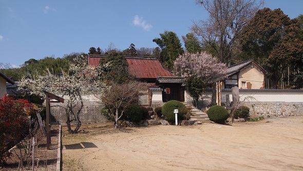 家全景
