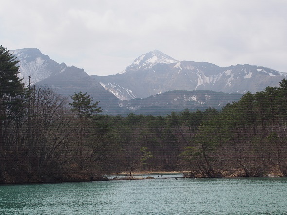 きれいな景色