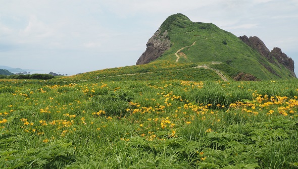大野亀2
