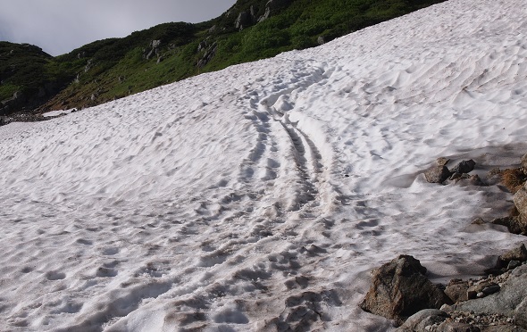 雪道