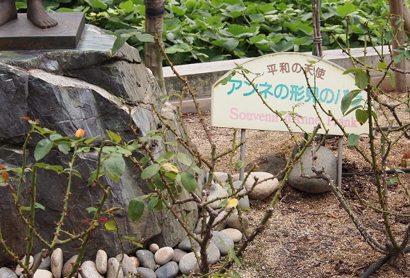 バラ