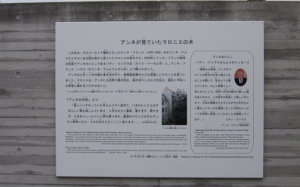 説明