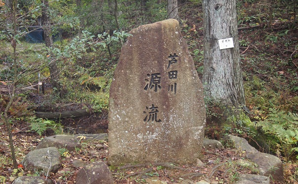 源流