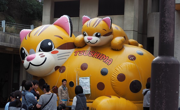 対馬山猫