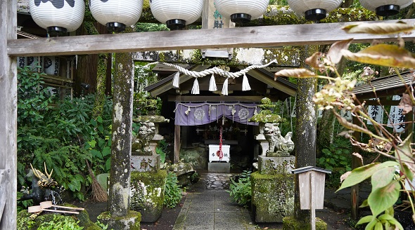 ���m��_��