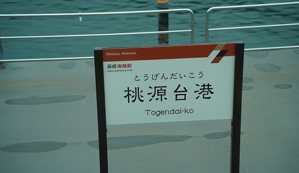 �V����D����